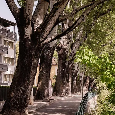 Hotel Flora & Meran